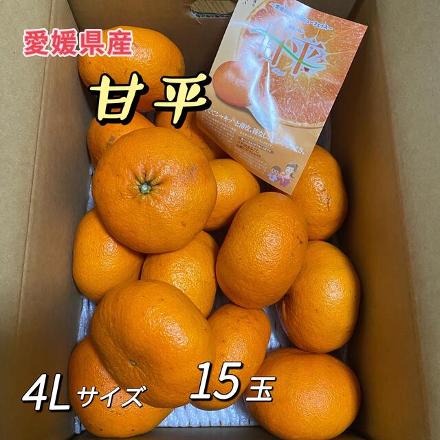 甘平　かんぺい　愛媛県産　4Lサイズ　箱含む5kg  JA全農えひめ　柑橘