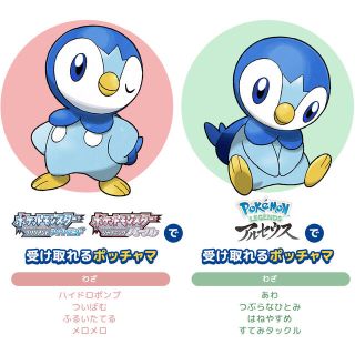 ポケモン(ポケモン)のポッチャマ　ポッチャマプロジェクト　シリアルコード(ゲーム)