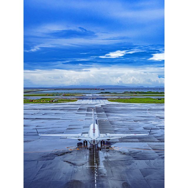 美麗! 高精細 プリント 写真 「青空へ・・・。」美術品/アンティーク