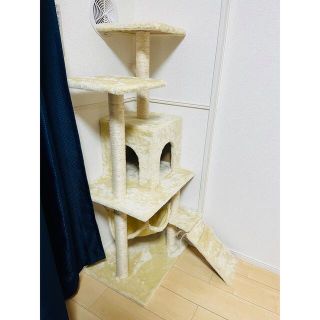 キャットタワーベージュ(猫)