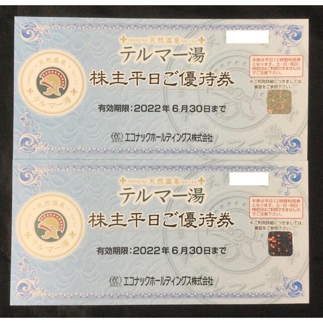 最新 エコナック株主優待 テルマー湯 株主平日ご優待券2枚セット テルマー湯 株主平日ご優待券2枚セット エコナックホールディングス 株主優待
