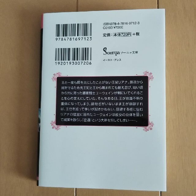 奈落の恋 ソーニャ文庫 山野辺りり TL小説 TL文庫 エンタメ/ホビーの本(文学/小説)の商品写真