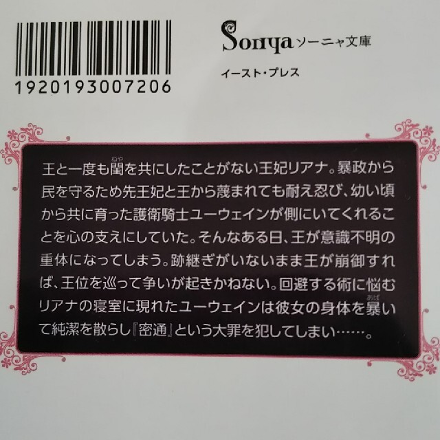 奈落の恋 ソーニャ文庫 山野辺りり TL小説 TL文庫 エンタメ/ホビーの本(文学/小説)の商品写真