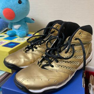 ミズノ(MIZUNO)のミズノ　ウエーブダイバース(トレーニング用品)