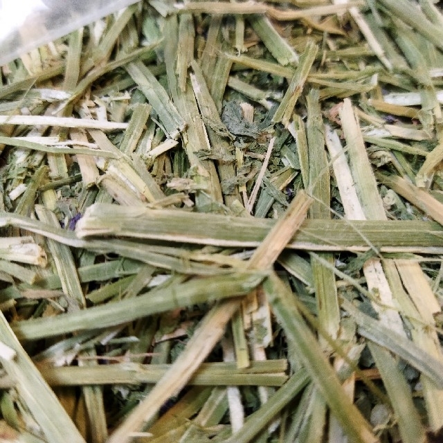 カナダチモシー2番刈り 5.8kg + スーパープレミアムアルファルファ2kg ...