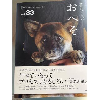 暮らしのおへそ 習慣には、明日を変える力がある Ｖｏｌ．３３(住まい/暮らし/子育て)