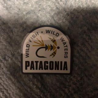 パタゴニア(patagonia)のパタゴニア【ステッカー】(その他)