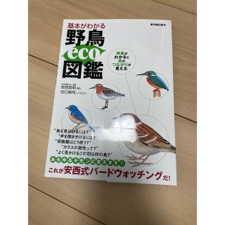 基本がわかる野鳥ｅｃｏ図鑑 野鳥がわかると命のつながりが見える(趣味/スポーツ/実用)