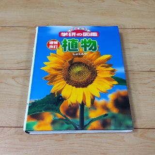 ☆学研の図鑑「植物」(絵本/児童書)