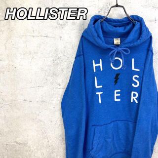 ホリスター(Hollister)の希少 90s ホリスター パーカー ビッグロゴ ワッペン 美品(パーカー)