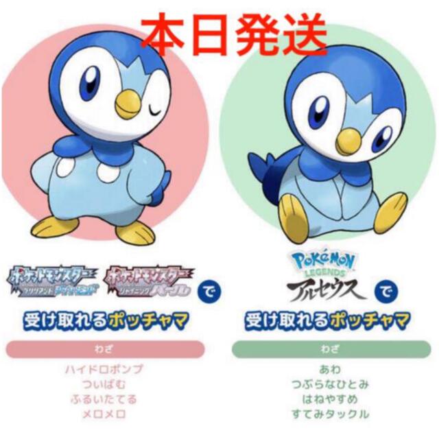 ポケモン(ポケモン)の【本日発送】プロジェクト　ポッチャマ　シリアルコード エンタメ/ホビーのおもちゃ/ぬいぐるみ(キャラクターグッズ)の商品写真