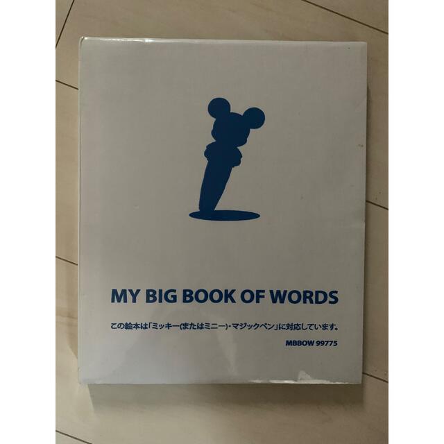 DWE MY BIG BOOK OF WORDS