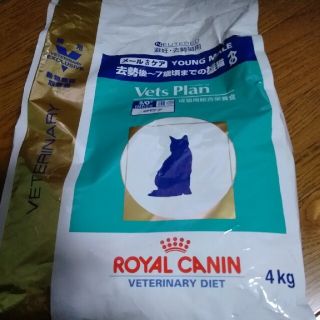 ロイヤルカナン(ROYAL CANIN)のロイヤルカナン　避妊去勢猫用　2.9kg 中古品(猫)