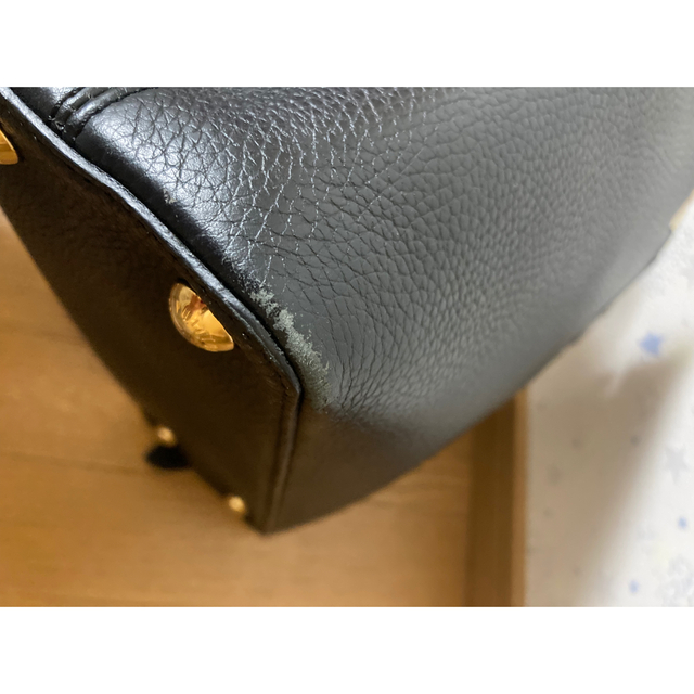 ルイヴィトン カプシーヌMM ブラック 希少フラワー