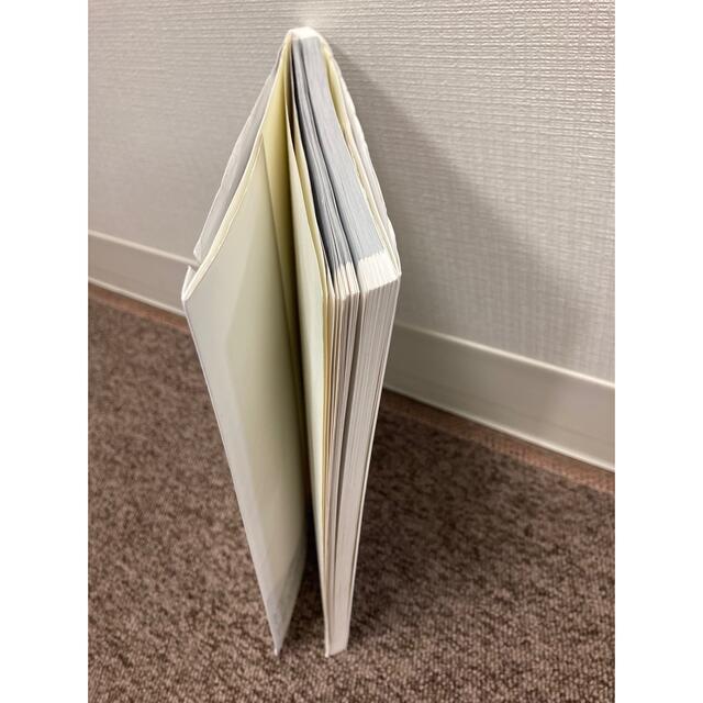 図説日本の都市問題 】藤塚吉浩、高柳長直 編著 / 古今書院の 図説日本の都市問題 】藤塚吉浩、高柳長直 編著 / 古今書院の