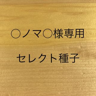 ○ノマ○様専用　セレクト種子　3袋(野菜)