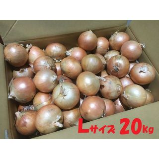 北海道産　タマネギ　Ｌサイズ　20kg　農家直送(野菜)