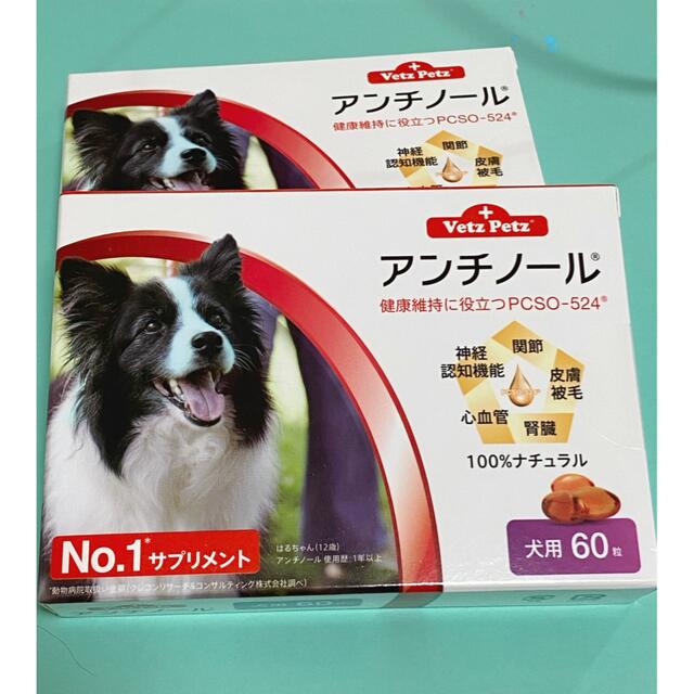 犬用 アンチノール 60錠入り 2箱 - arkiva.gov.al