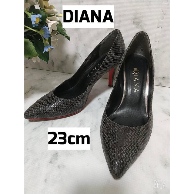 DIANA(ダイアナ)のDIANA ダイアナ パイソン レッドソール 23cm レディースの靴/シューズ(ハイヒール/パンプス)の商品写真