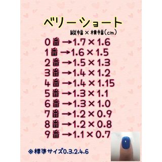 #32   ニュアンスネイル うねうねミラー 振袖 マグネットネイル  コスメ/美容のネイル(つけ爪/ネイルチップ)の商品写真