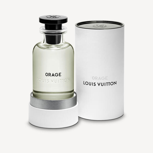 定番高評価 LOUIS VUITTON - 値下げ!《新品未使用》LOUIS VUITTON