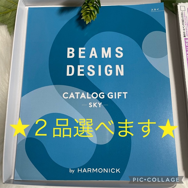 BEAMS(ビームス)のBEAMS DESIGN カタログギフト　ビームススカイ　　内祝い　お返し チケットの優待券/割引券(ショッピング)の商品写真