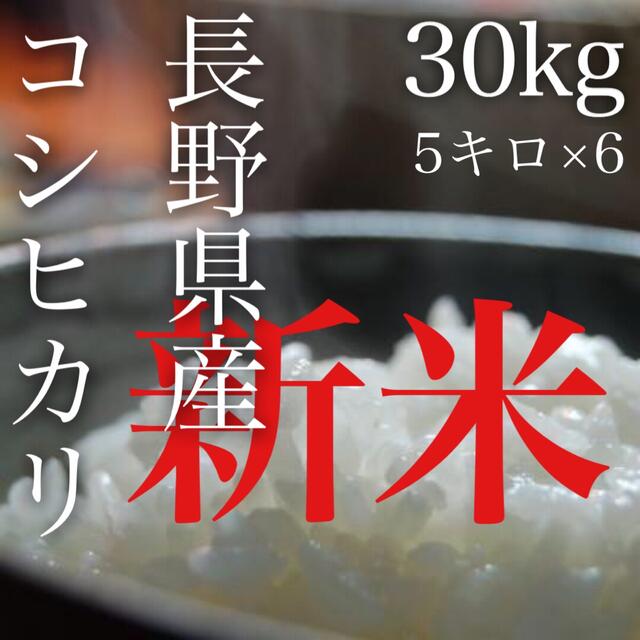 【令和3年産】長野県コシヒカリ30キロ白米こしひかり