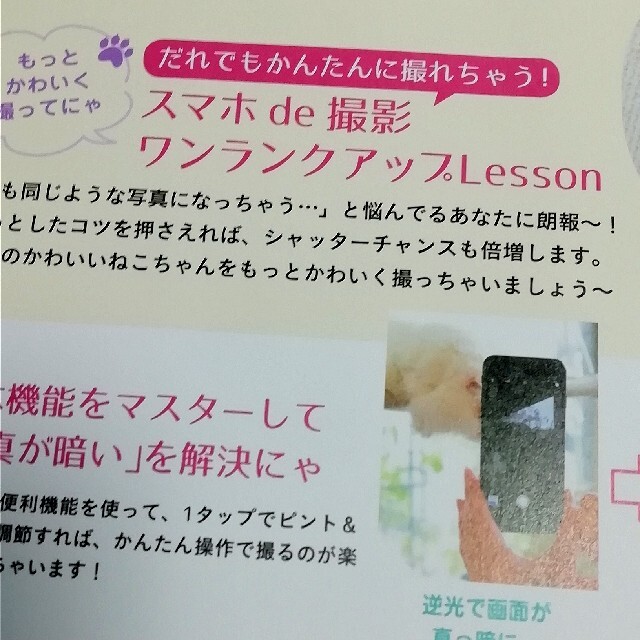 宝島社(タカラジマシャ)のねこもふ。すぺしゃる ふわふわでぷにぷに！生まれたてのチブもふがいーっぱ エンタメ/ホビーの本(住まい/暮らし/子育て)の商品写真