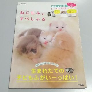 タカラジマシャ(宝島社)のねこもふ。すぺしゃる ふわふわでぷにぷに！生まれたてのチブもふがいーっぱ(住まい/暮らし/子育て)