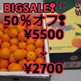 鹿児島県産★スーパー金柑【春姫】2L２kg(フルーツ)