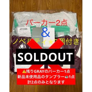 ジェイダ アイコン パーカー(レディース)の通販 49点 | GYDAの