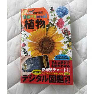 コウダンシャ(講談社)のmove 植物　図鑑(語学/参考書)