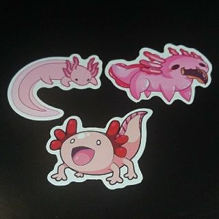 ウーパールーパー AXOLOTL ステッカー シール 3枚セット ⑮(キャラクターグッズ)