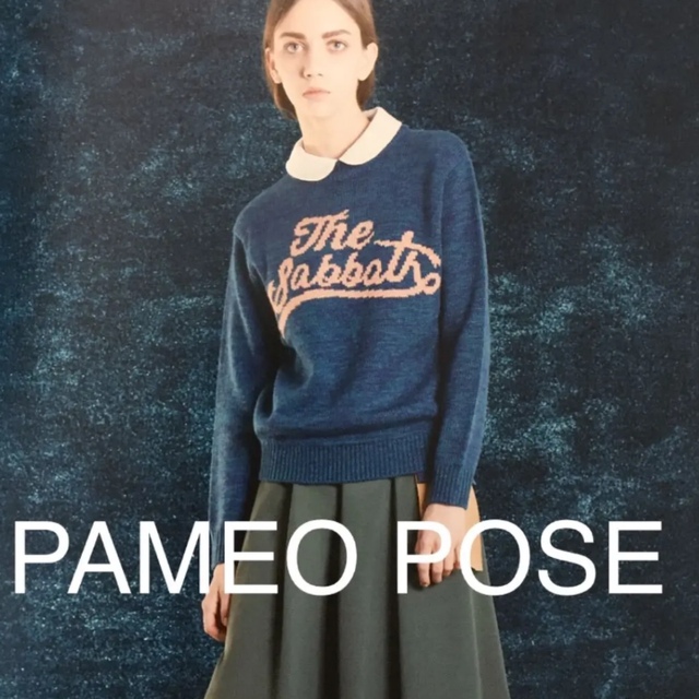 PAMEO POSE(パメオポーズ)のパメオポーズ　ニット セーター　PAMEO POSE レディースのトップス(ニット/セーター)の商品写真