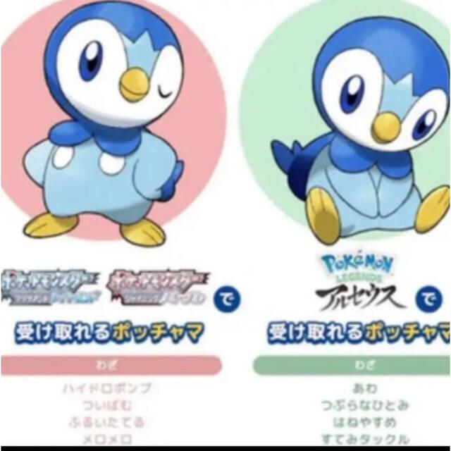 ポケモン(ポケモン)のポケモン　ポッチャマ エンタメ/ホビーのおもちゃ/ぬいぐるみ(キャラクターグッズ)の商品写真