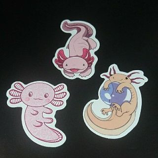 ウーパールーパー AXOLOTL ステッカー シール 3枚セット ⑯(キャラクターグッズ)