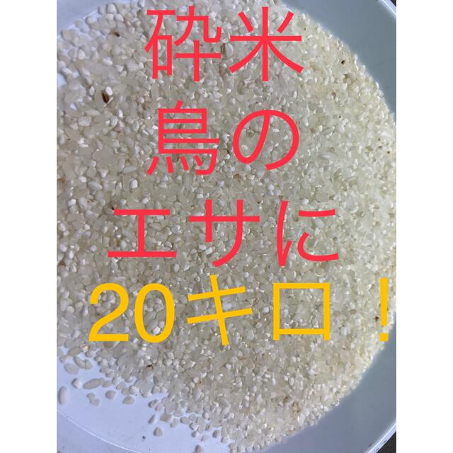 兵庫県丹波産 農薬不使用コシヒカリ玄米１０㎏（令和４年産） 米 | kakebeshop.com