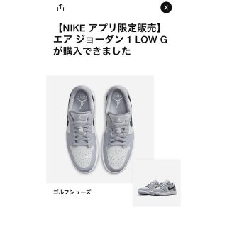 ナイキ(NIKE)のNike Air Jordan 1 Low Golf "Wolf Grey"(スニーカー)