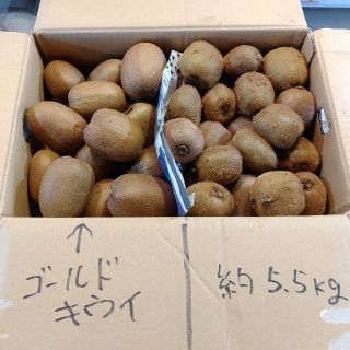 訳ありキウイ　約5.5Kg　信州産(フルーツ)