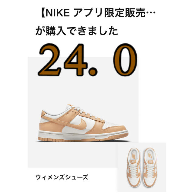 Nike WMNS Dunk Low "Harvest Moon" 24.0パイエット