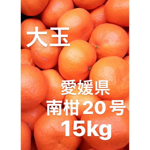 愛媛県産　南柑20号　みかん　柑橘　　15kg