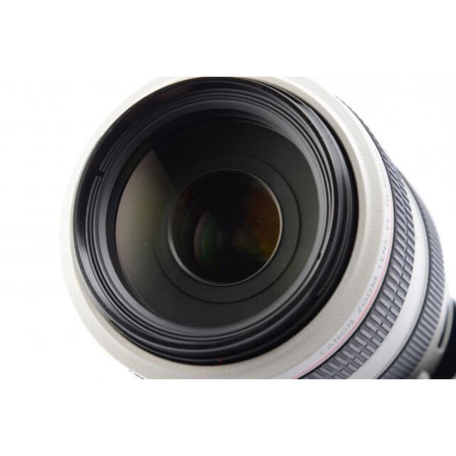 特別価格中 Canon EFレンズ EF70-300mm F4-5.6L IS USM 中古 レンズ