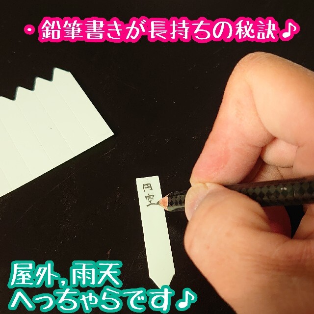 ◎100枚◎(小)  ベージュ ラインラベル 園芸ラベル カラーラベル 多肉植物 ハンドメイドのフラワー/ガーデン(その他)の商品写真