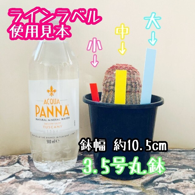 ◎100枚◎(小)  ベージュ ラインラベル 園芸ラベル カラーラベル 多肉植物 ハンドメイドのフラワー/ガーデン(その他)の商品写真