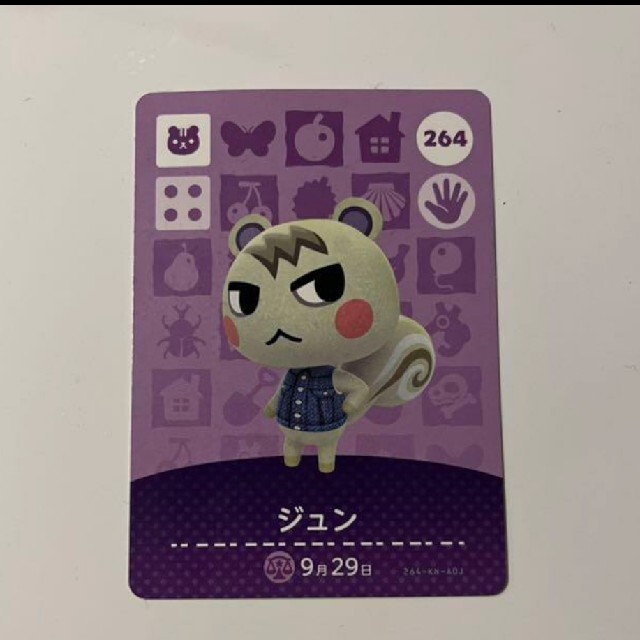 どうぶつの森　amiibo カード　ジュン　おまけ付