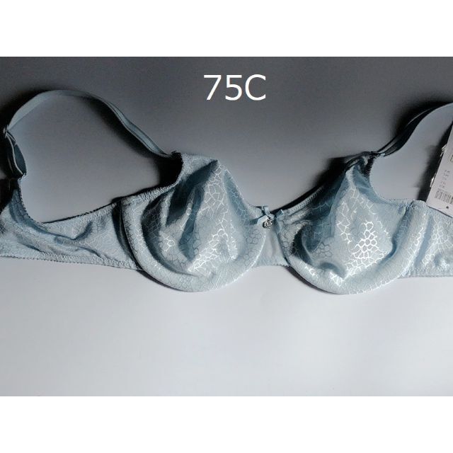 75C☆Chantelle シャンテルシームレスミニマイザーブラ　素敵な大人ブラ レディースの下着/アンダーウェア(ブラ)の商品写真