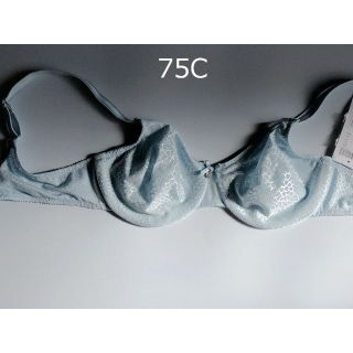 75C☆Chantelle シャンテルシームレスミニマイザーブラ　素敵な大人ブラ(ブラ)