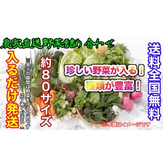 おまかせ冬野菜詰め合わせ約80サイズ入るだけ発送！最終値下げ！(野菜)