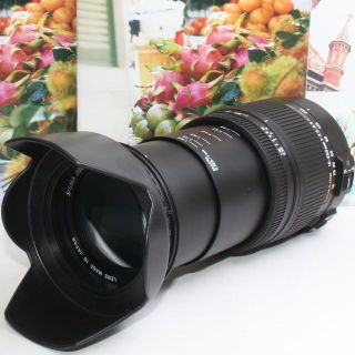 シグマ(SIGMA)の❤️手振れ補正内蔵❤️シグマ 18-250mm DC OS HSM キャノン用(デジタル一眼)