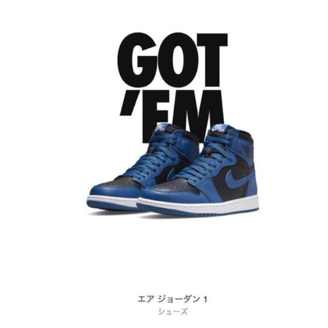 NIKE Air Jordan 1 High OG ダークマリーナブルー27